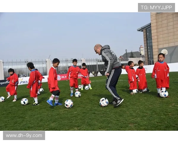 三十年风雨历程 佛山足球的崛起与挑战探索
